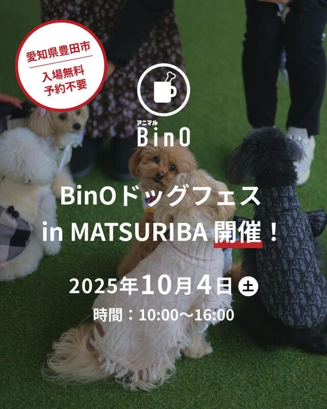 トップ.jpg