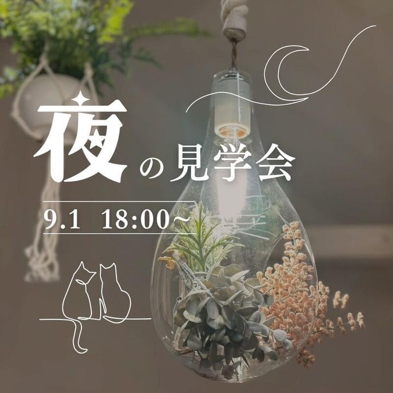 夜モデルハウス9月.jpg