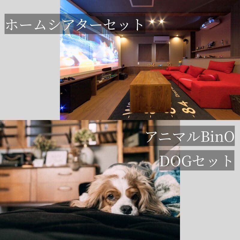 自分らしさplus②.jpg