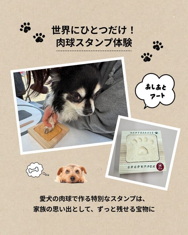 肉球スタンプ体験.jpg