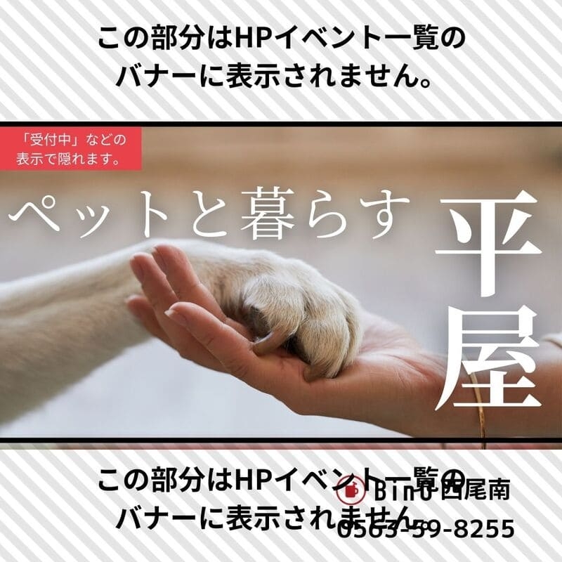 ペットと暮らすための平屋を建てたい方へ